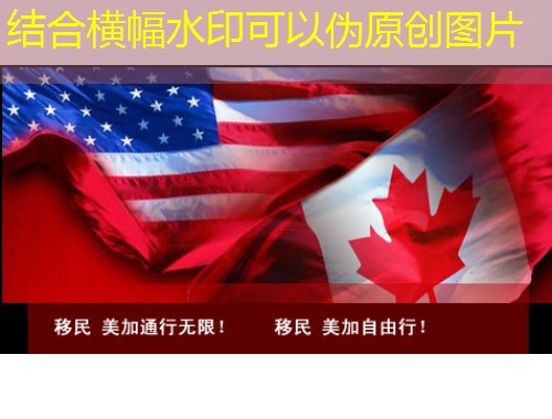 汉德欧移民官网：深耕移民服务13年，以专业铸就行业标杆